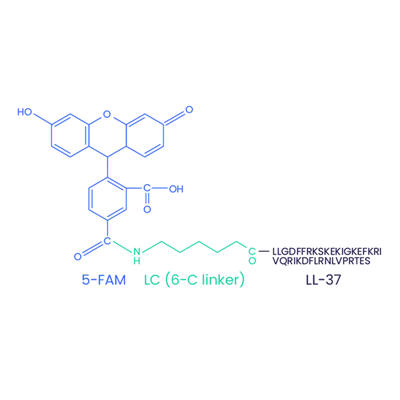 5-FAM-LL-37(스크램블) CAS 2022972-73-0
