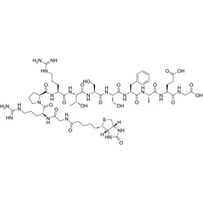 비오틴-교차형 CAS 923949-90-0